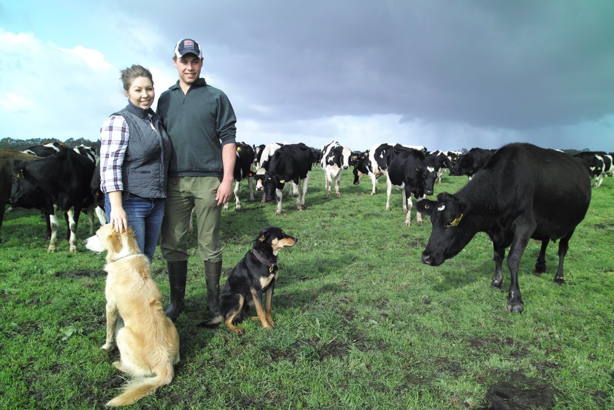 Erwin (22) en Stacey (20) Reesink melken in Wattle Bank, (Victoria, Australië), 250 koeien op 140 hectare. Als sharefarmers doen ze al het werk voor de eigenaar van de boerderij. Ze ontvangen daarvoor 40% van de opbrengst van de 250 melkkoeien.<br /><em>Foto's: René Groeneveld</em>