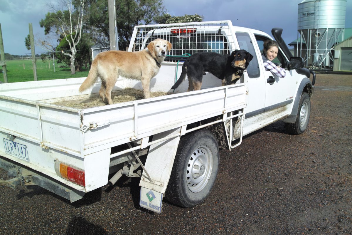 Stacey in de ute met de honden Banjo (links) en Turbo achterop. De laatste is een Australische Kelpie die vaak bij het hoeden van schapen wordt gebruikt. "Turbo drijft de koeien voor ons bij elkaar", zegt Erwin. Banjo is een kruising tussen een Border Collie en een Labrador.