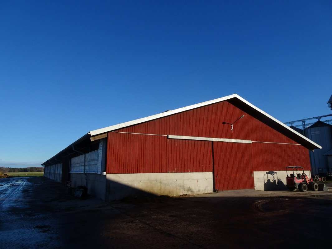 Rode, typisch Zweedse gebouwen. Hier houdt Svensson 1.340 melkkoeien. Biologisch. Hij voldoet aan de bio-norm van 2 hectare per koe . Op grote schaal biologisch boeren was dé uitdaging. We wilden weten of het werkt en of er markt voor is in Zweden.
