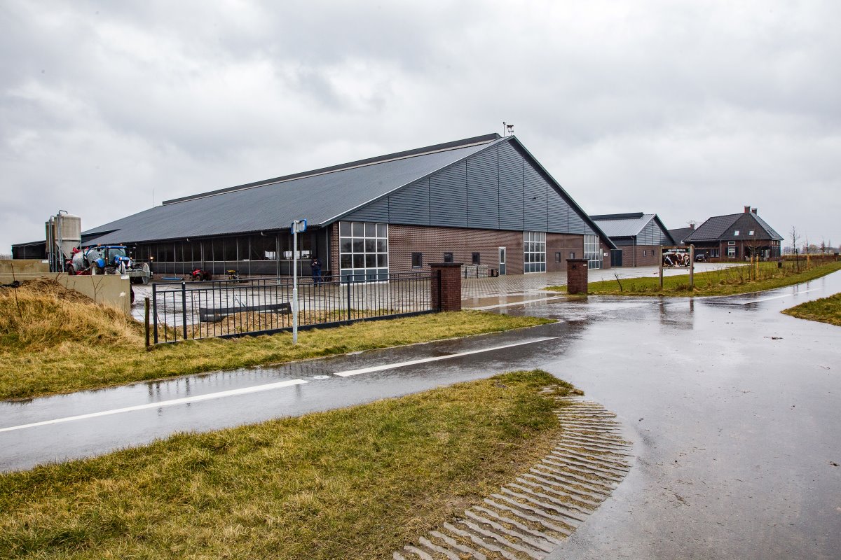Wijers moest wijken voor het project Ruimte voor de Rivier. Het nieuwe bedrijf bevindt zich in de uiterwaarden op een aangelegde terp op 600 meter afstand van de rivier de IJssel. Dit is de ligboxenstal die plaats biedt aan 200 melkkoeien.