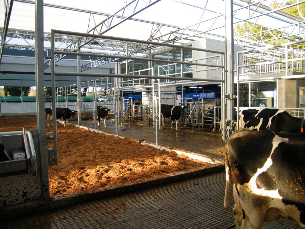 De keuze voor twee DeLaval-melkrobots is gemaakt na de goede ervaringen ermee en omdat Geenen gecharmeerd is van de DeLaval Herd Navigator. Die bewaakt op basis van melkanalyses de gezondheidstoestand van iedere koe.