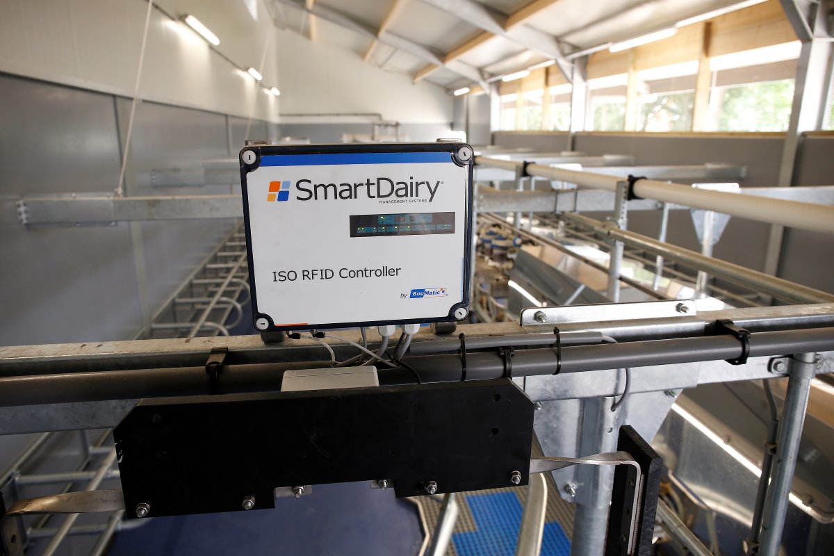 Bij het 'melkstalpakket' zat ook het Smart Dairy-systeem. Dat systeem moet helpen om koeien beter te monitoren. Lueb gaat er nog niet direct mee aan de slag: 'tierelantijntjes voor later'.