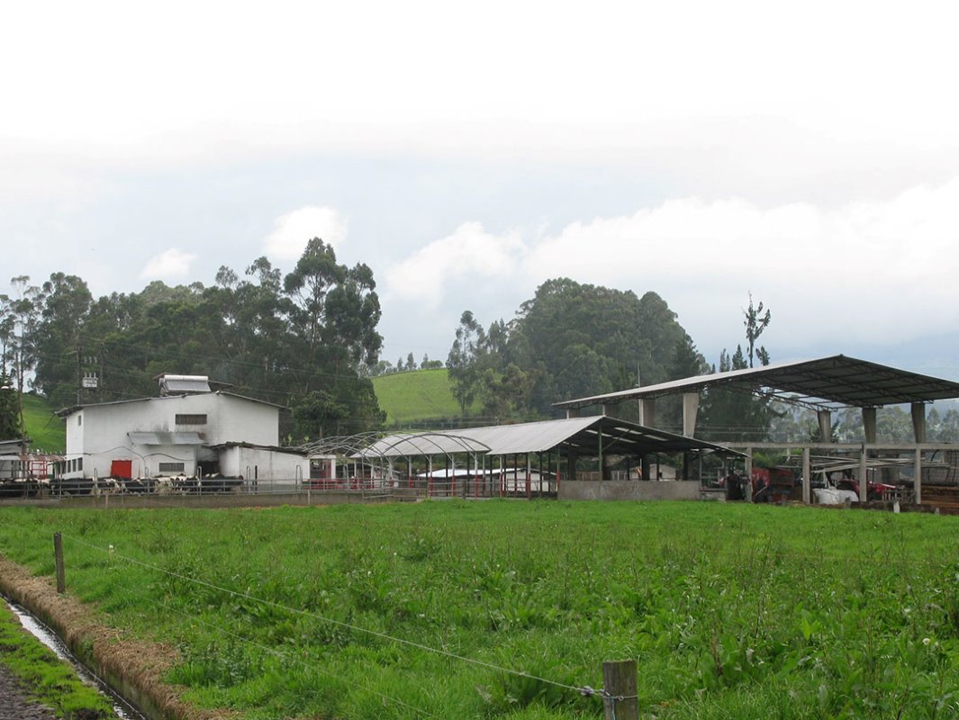 Dit is meer een doorsnee aanblik van een melkveehouderij. Een woning met aaneengebouwde stallen en schuren in een groen heuvelachtig landschap.