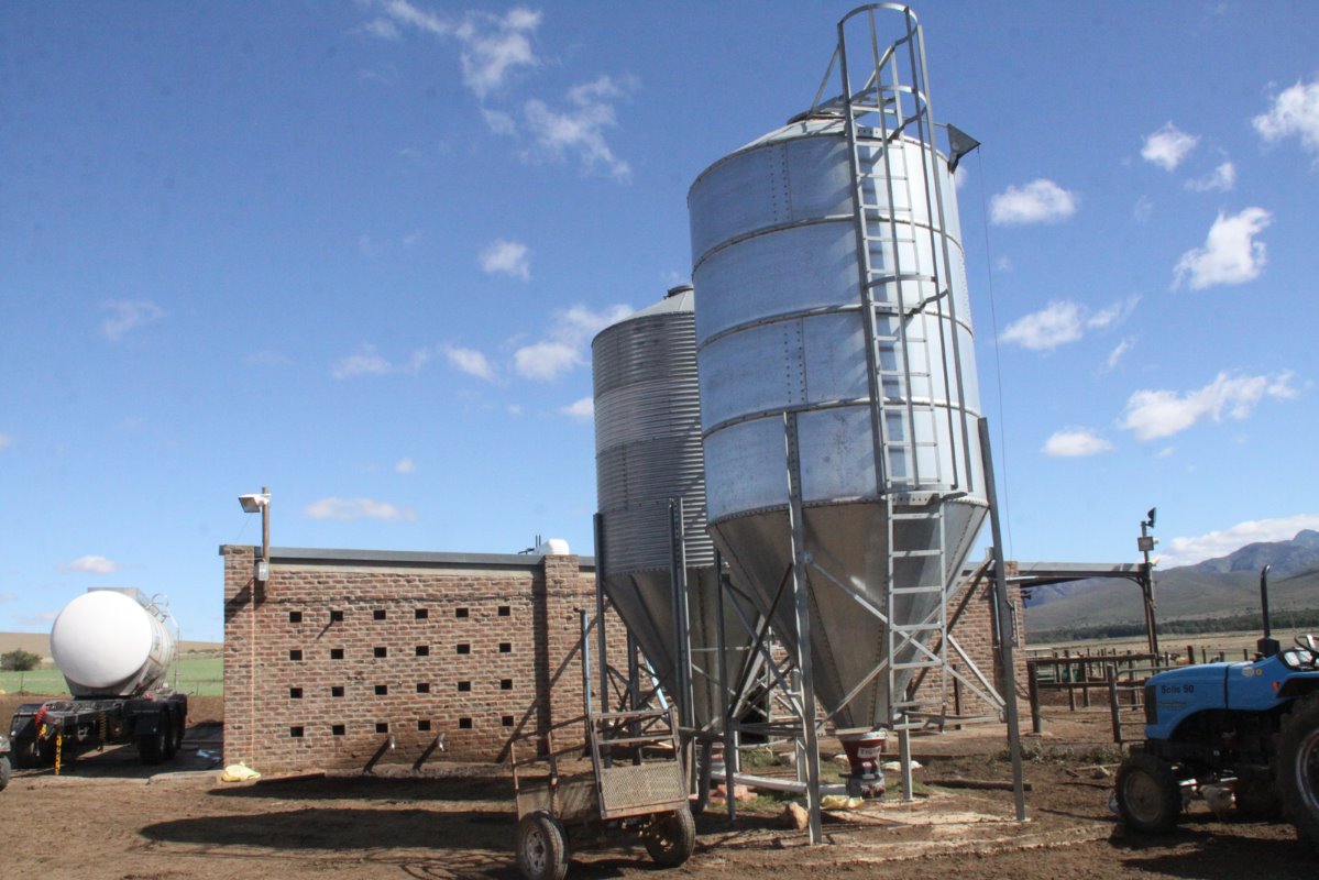 Silo's met krachtvoer aan de voorzijde van de 24-punts swing dan melkstal. De capaciteit van elke silo is ongeveer 15 ton. Een tanker van Langeberg Kaas waaraan De Kock Cloete zijn melk levert, staat op de achtergrond.