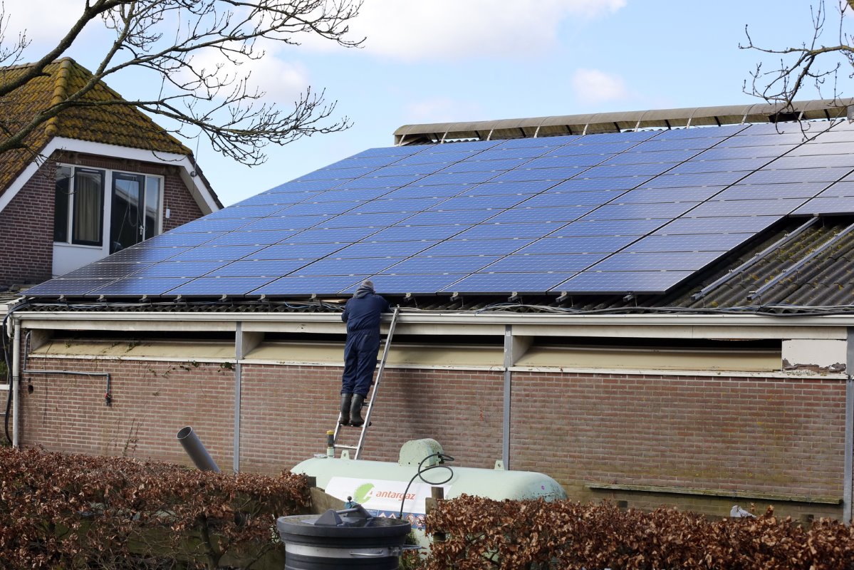 Duijndam was met 450 zonnepanelen op de jongveestal energieneutraal. Maar omdat er enkele machines bij zijn gekomen (onder meer een extra voerrobot) moet er weer een tandje bij om energieneutraal te worden. Concreet: 150 extra zonnepanelen.