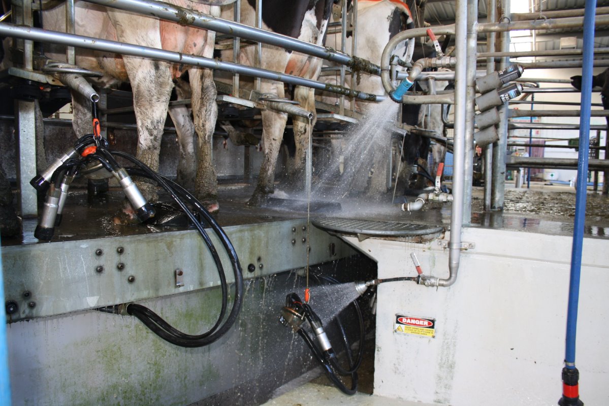Zowel de melkstand als de melkstellen worden na elke koe schoon gespoten. Het water wordt later hergebruikt voor het flushen van de wachtruimte.