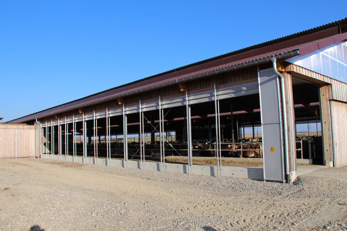 <p>In juni 2014 werd de nieuwe stal met 220 ligplaatsen en een 28-stands binnenmelker opgeleverd. Dit vergde een totale investering van ruim €11.000 per koeplaats.</p>