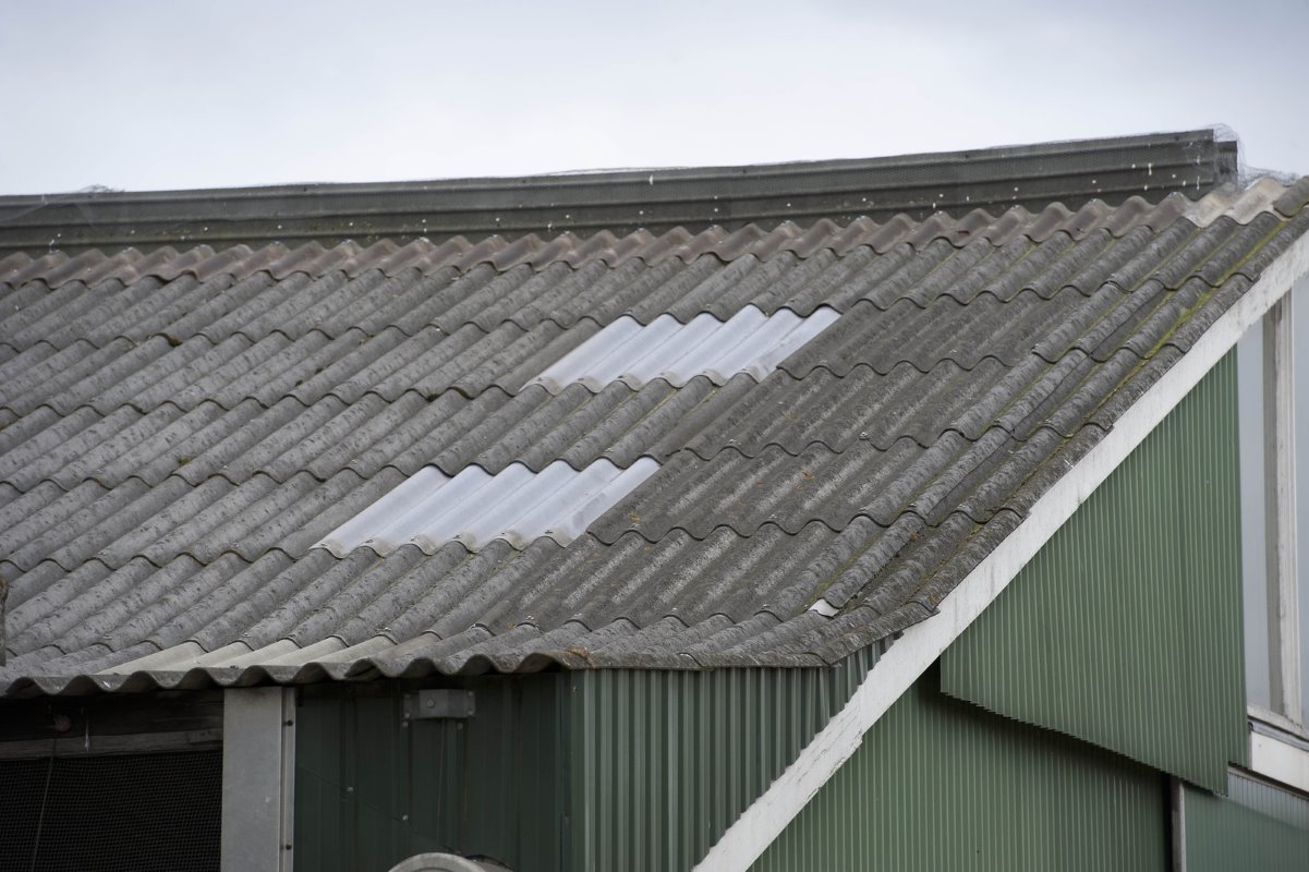 Op twee van de drie oude staldaken ligt asbest. Die daken moeten op termijn nog een keer worden vervangen.