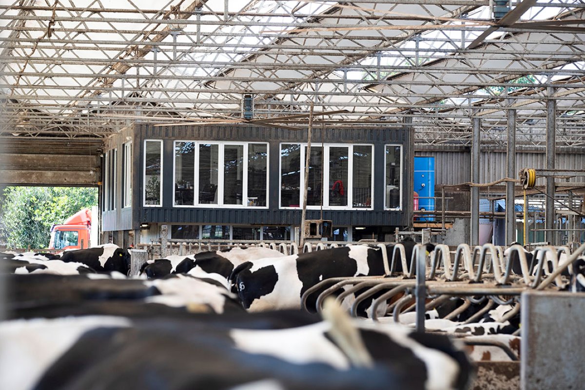De melkveehouders bouwden in de nieuwe stal een kantoor- en vergaderruimte en een kantine.