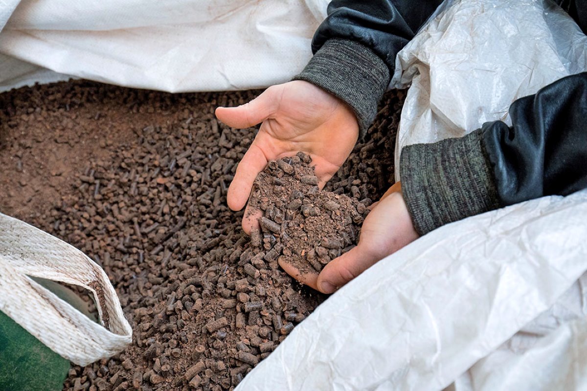 Om de gehaltes te verhogen, voert Hennipman cacaoboondoppen (restafval). Daarnaast voert hij onder meer bierbostel.