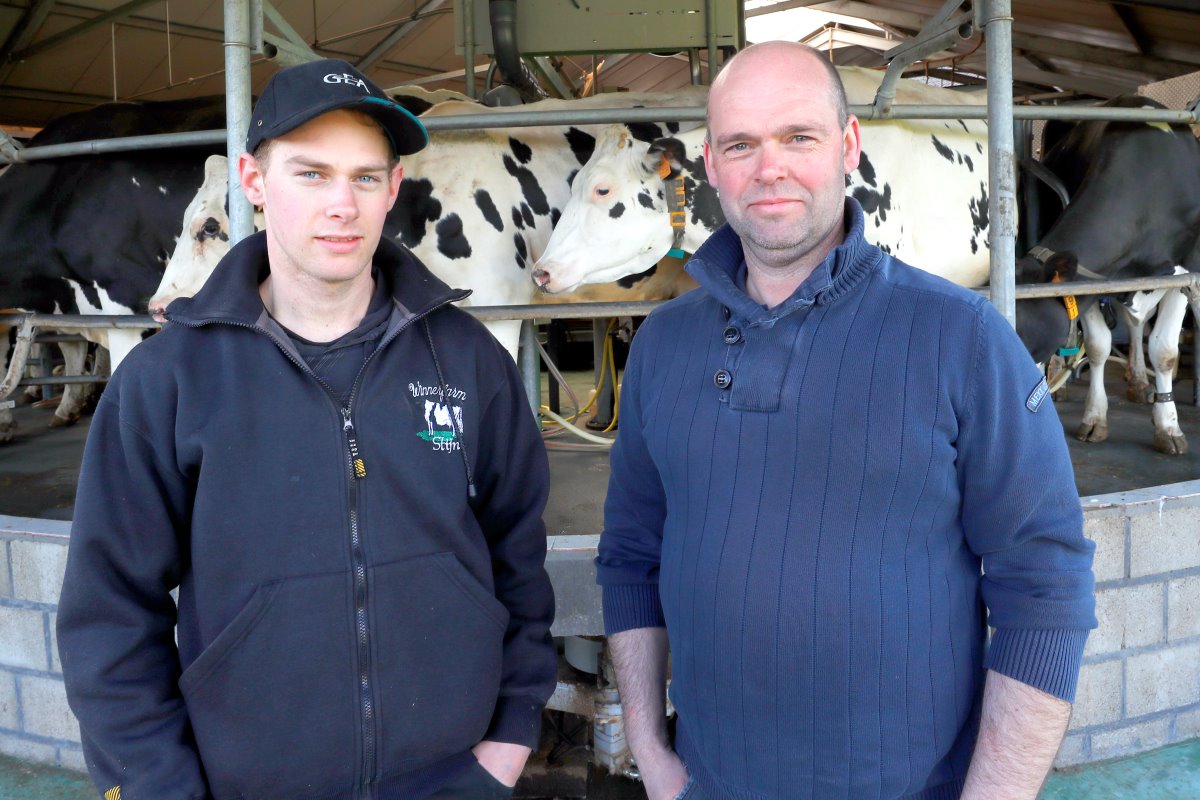 Stijn (23) en Stefan (49) Maes hebben in het Belgische Eksel in een landbouwvennootschap een bedrijf met circa 530 koeien aan de melk en 530 stuks jongvee waarvan de oudere dieren bij een jongveeopfokker staan. De ondernemers bewerken ongeveer 132 hectare grond waarvan 58 hectare in eigendom. De productie per koe bedraagt circa 11.700 kilo per jaar met 3,45% vet en 3,46% eiwit. In 2016 lag de productie op 5,8 miljoen kilo melk. Op het bedrijf zijn vier buitenlandse werknemers werkzaam die via een zogenoemde melkersvennootschap op zelfstandige basis bij Maes en een andere melkveehouder werken.