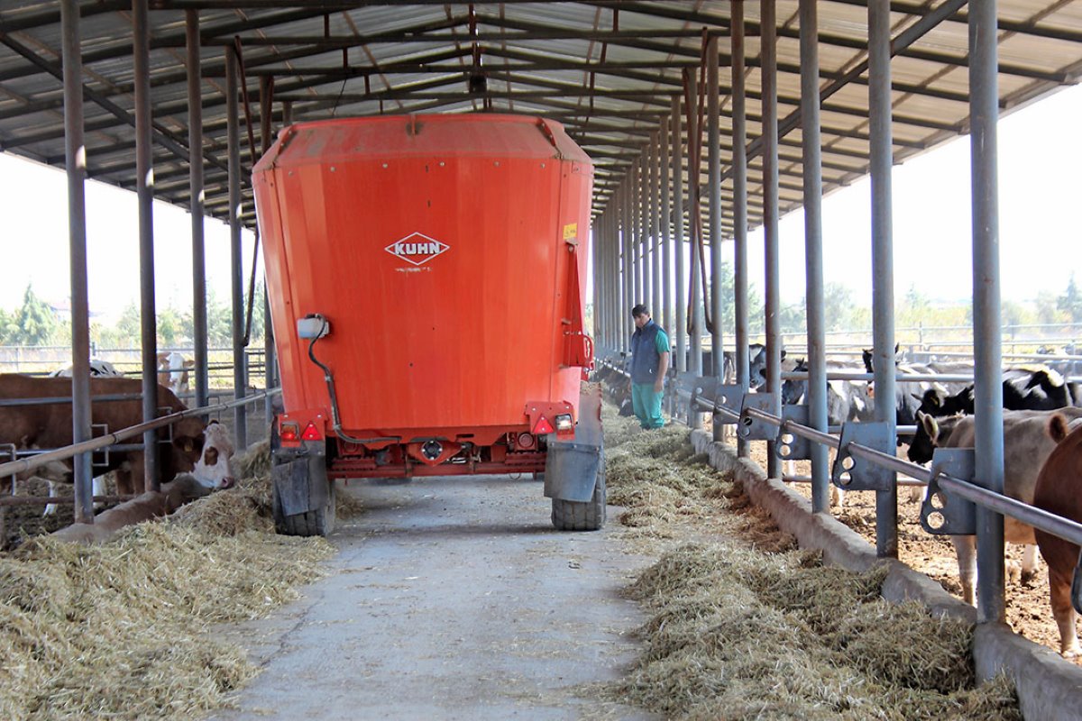 Een uitgebalanceerd rantsoen is volgens Bekir Darilmaz essentieel voor gezond vee. Vandaar dat begin 2018 geïnvesteerd is in een Kuhn ‘Profile 1680’ mengwagen. Dagelijks mengt deze machine 10 porties.