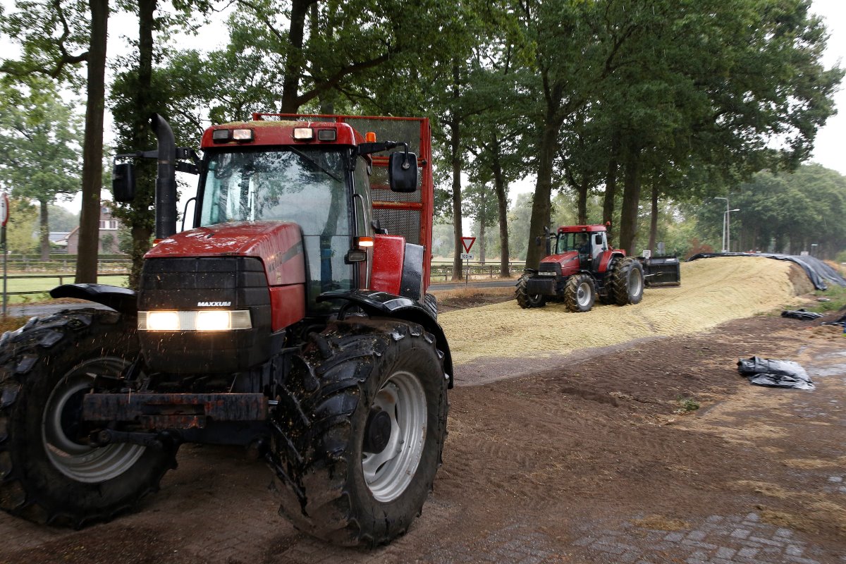 6 hectare verdroogde mais heeft Alex Reinders nu apart ingekuild. De melkveehouder heeft in totaal 18 hectare mais waarvan hij 8 hectare heeft beregend.