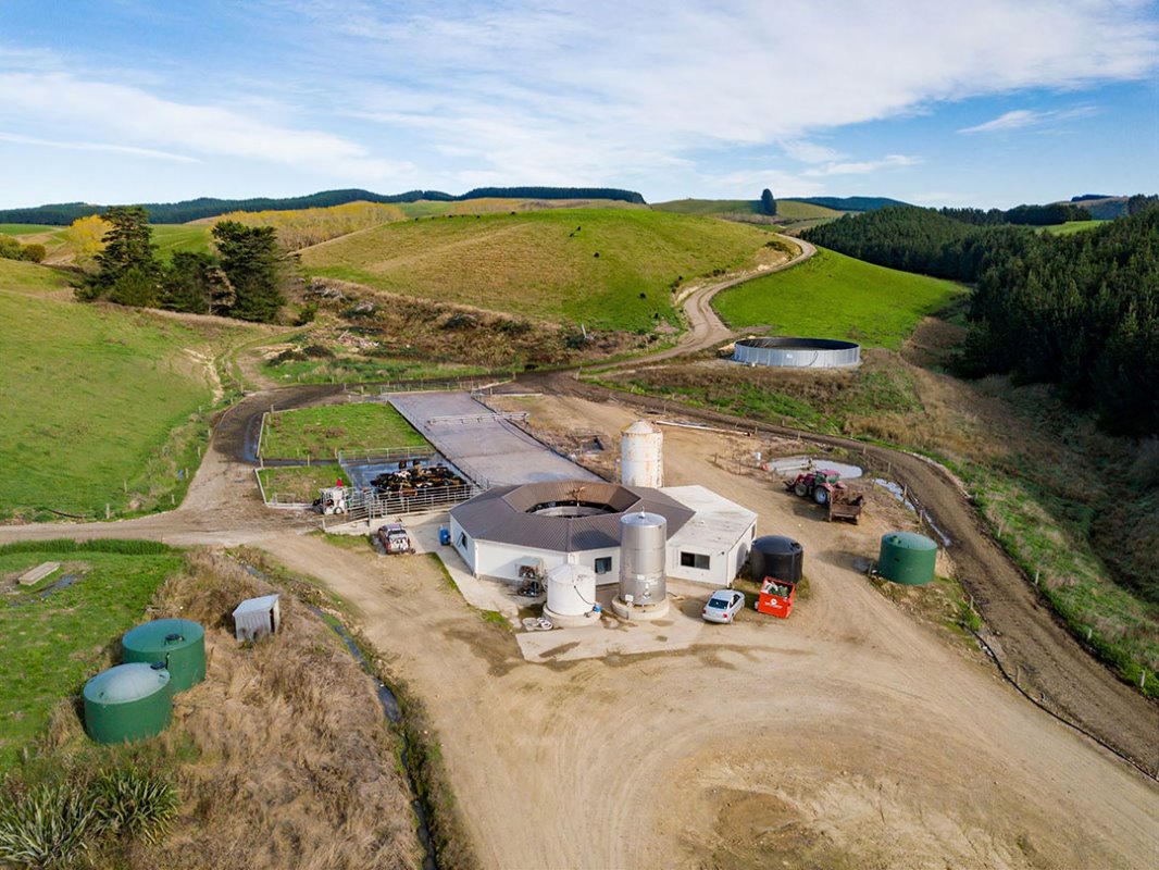 Deze locatie met 40-stands draaimelkstal staat in een gebied met glooiende weilanden. Alle te koop staande boerderijen zijn te vinden in de South Canterbury regio (een gebied met een straal van circa 300 km rond Christchurch)  op het Zuidereiland.