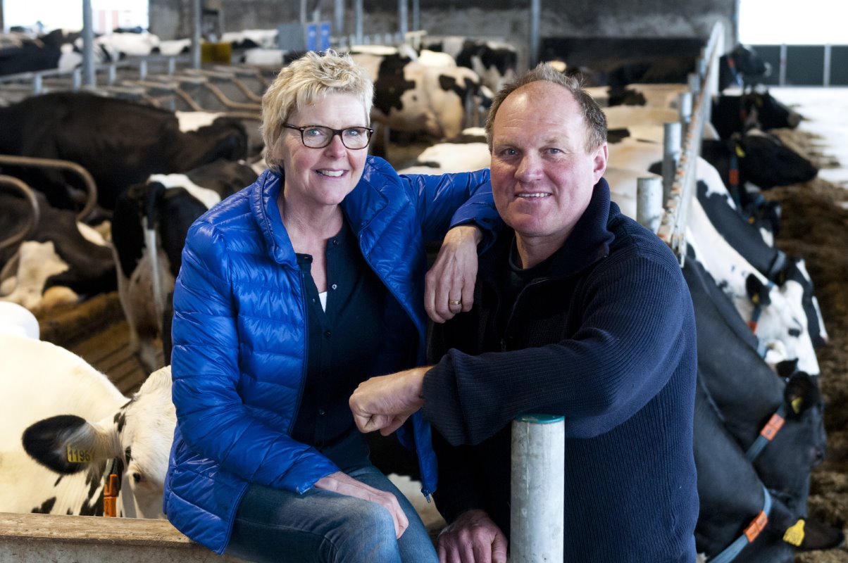 Fa. Groot-van der Lee heeft in Zuidschermer een melkveebedrijf met 100 melk- en kalfkoeien en 84 stuks jongvee. Op de foto poseren Cees (55) en Helma (53) Groot-van der Lee. Bedrijfsopvolger Marco (25) zit ook in het bedrijf. Hij werkt daarnaast fulltime als agrarisch bedrijfsadviseur bij Flynth.