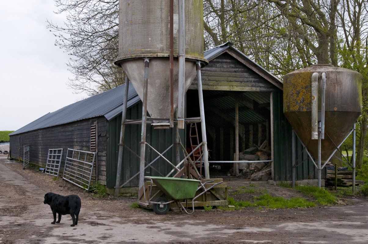 Jarenlang hield Gerrit Groot 240 vleesvarkens. Het gros van de varkens werd afgezet bij slagers in de omgeving. Na de varkenspest was het niet meer rendabel om met de varkens verder te gaan. De oude varkensstal wordt gebruikt voor opslag.