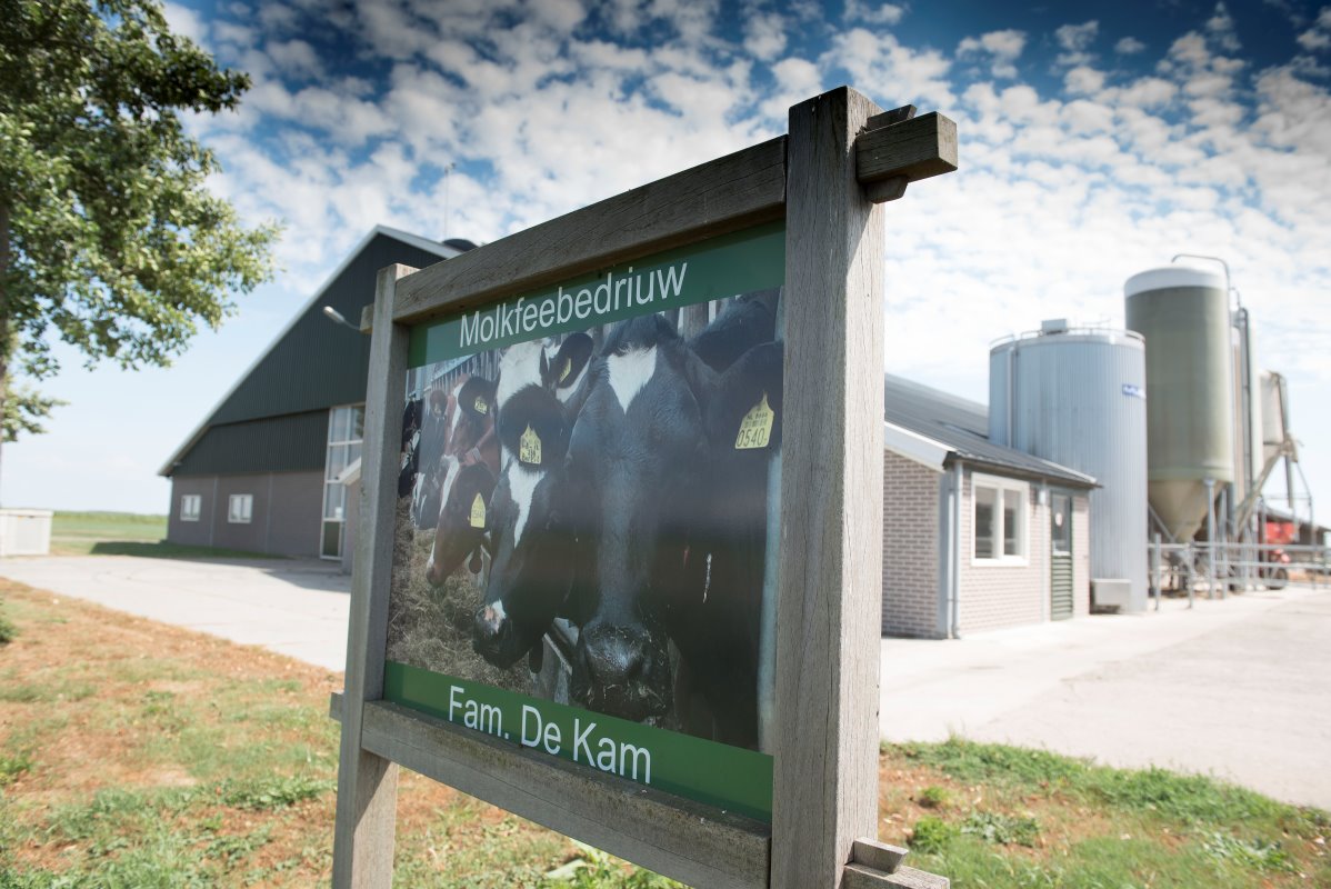 Maatschap De Kam-Van Berkum nam in het voorjaar van 2015 een nieuwe stal voor 240 melkkoeien in gebruik. Automatisering stond centraal. De maatschap koos voor 4 melkrobots, 2 mestrobots en een voeraanschuifrobot.