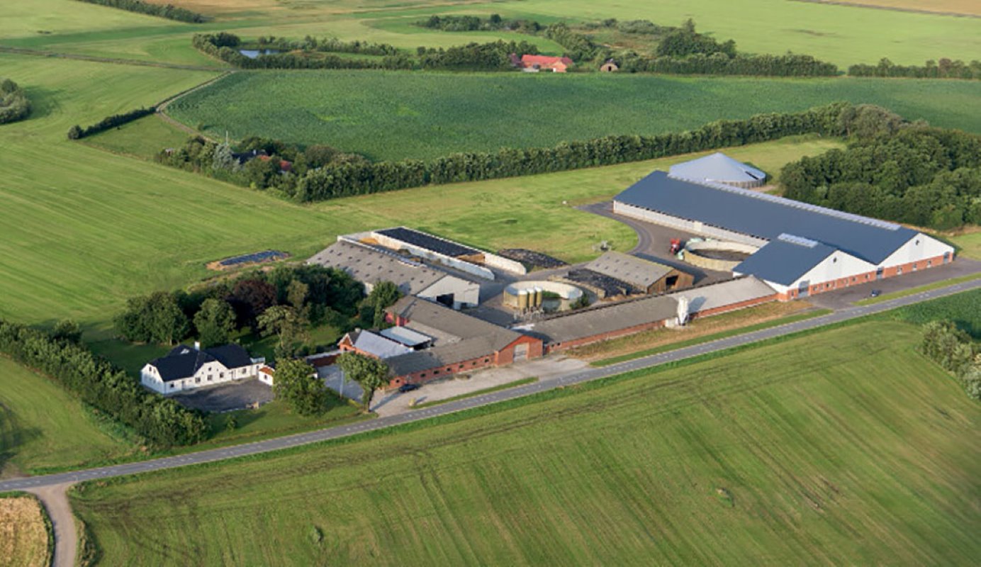 Het melkveebedrijf in Denemarken bestaat deels uit nieuwbouw zoals rechts op de foto te zien. Het bedrijf is technisch goed onderhouden.