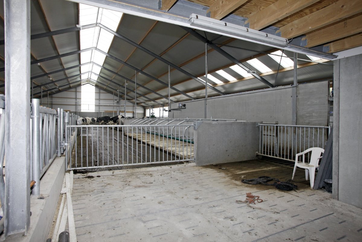 Van dit staldeel willen de melkveehouders zo weinig mogelijk gebruikmaken: de ziekenboeg.