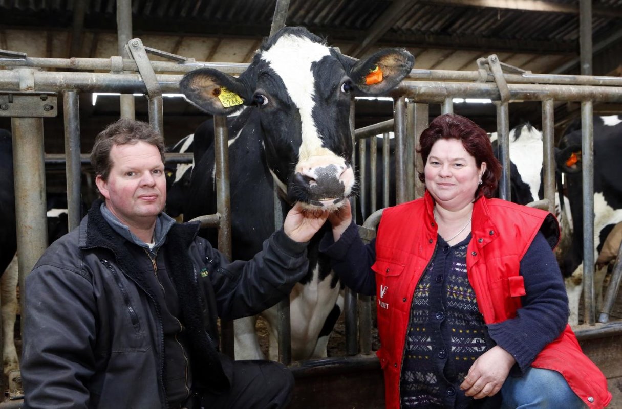 Ludo (43) en Agnes (44) Van Haeren houden in het Gelderse Wehl 100 melkkoeien, 100 stuks jongvee, 900.000 kilo quotum en 84 hectare land (in gebruik). In 2014 begonnen ze met de bouw van een Italiaanse stal voor 200 melkkoeien.