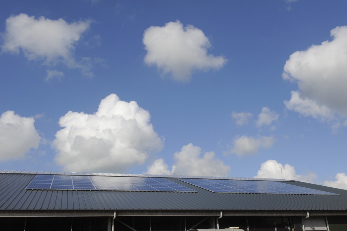 Köhne heeft zonnepanelen op het dak. Daarmee verwachtte hij energieneutraal te worden. Maar in de praktijk komt de vof 30% tekort. Het stroomverbruik is groter dan gedacht. Köhne moet nu de grootste energieslurpers goed in kaart krijgen.