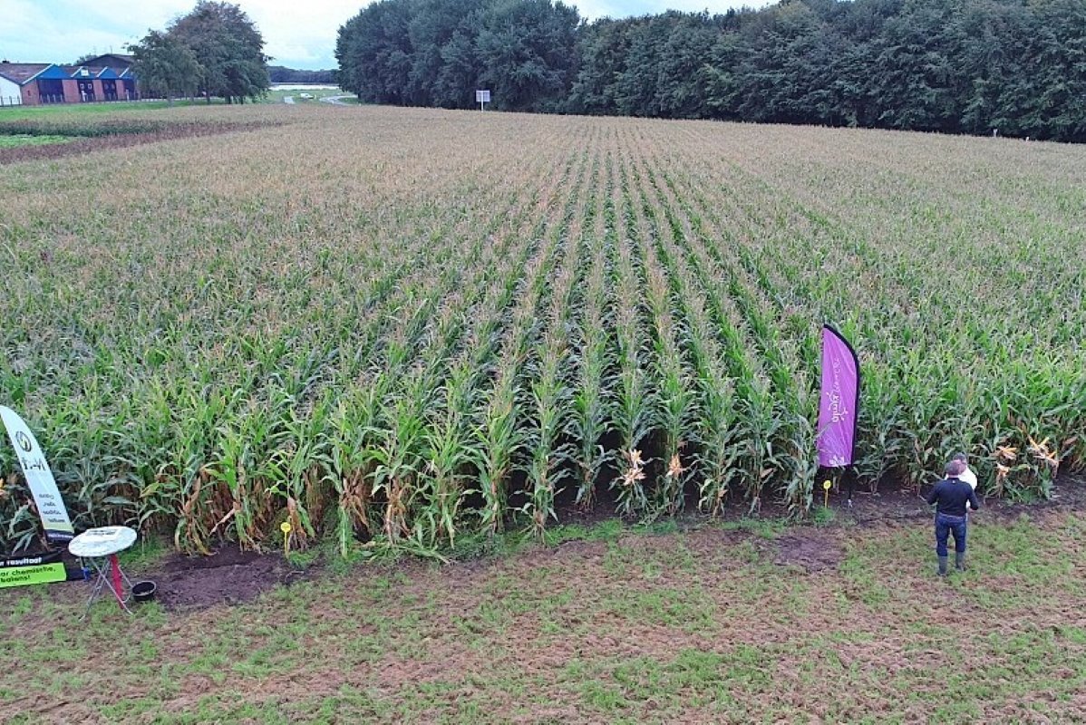 Er is 60 m3 RVDM per hectare bemest. Met PRP Explorer (korrel) en N-xt vloeibare maismeststof met RootStimulate wordt de beschikbaarheid van de meststoffen in de plant positief beïnvloed.