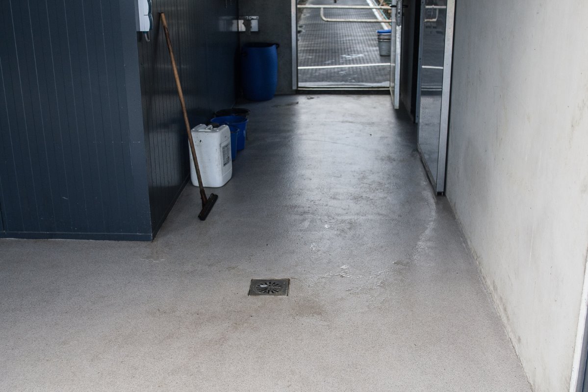 De betonvloer voor de melkstal is later nog gecoat. Door de coating wordt de vloer minder snel smerig en is makkelijker te reinigen. Ook de voergang is na de bouw alsnog gecoat. De vloer werd te snel 'uitgevreten'.