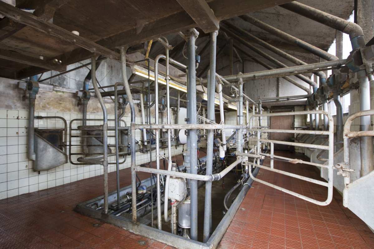 Het melken gebeurt nog altijd in de 2x6-melkstal. Dat gaat prima, zeggen de melkveehouders. Het rollendjaargemiddelde is 9.400 liter, met 4,45% vet en 3,45% eiwit.