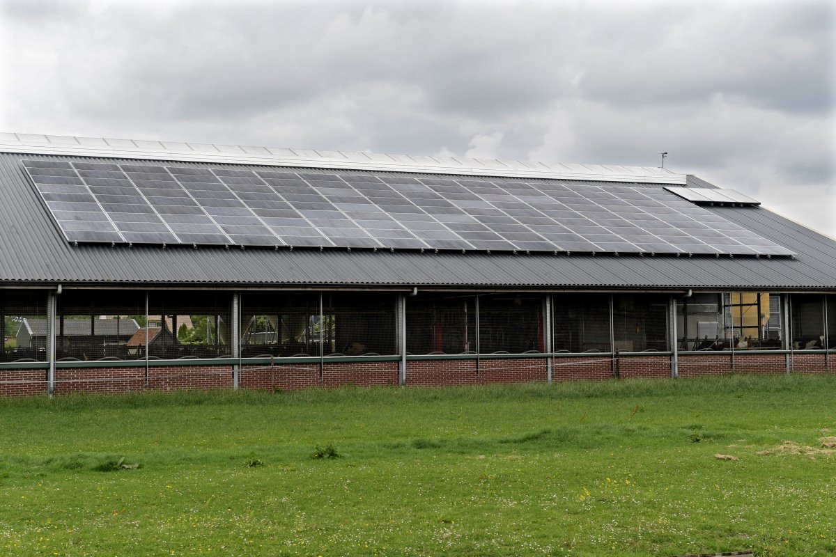 Op het dak liggen 144 zonnepanelen. Samen met de al aanwezige panelen goed voor 50.000 kilowatt per jaar. Daar kan 85 procent van het bedrijf op draaien. Er is ook een zonneboiler die water verwarmt voor het schoonmaken van de melktank en -robots.