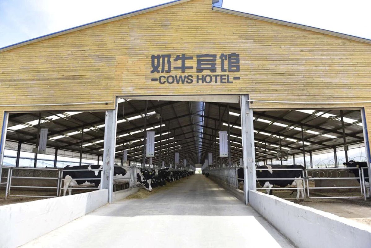 Sommige van de grotere bedrijven zijn speciaal ontworpen voor bezoekers uit de steden. Dit bedrijf ligt in Binnen-Mongolië en toont het gebouw voor de droge koeien, dat hier het 'Koeienhotel' wordt genoemd. 