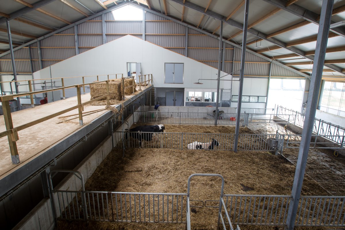 Opvallend is de balustrade die vanaf de voorkant van de stal tot aan de robots loopt. Die wordt gebruikt voor stro-opslag maar ook bezoekers hebben daar een prachtig beeld over de koeien.