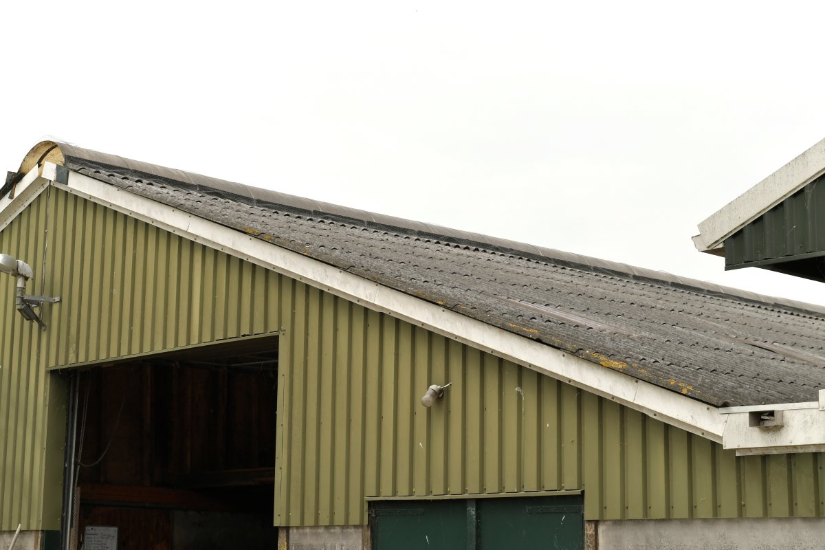 Op het dak van de oude stal liggen nog asbestplaten. Maar Kalverboer is ingeloot voor de regeling van FrieslandCampina om asbest te verwijderen en zonnepanelen te plaatsen.