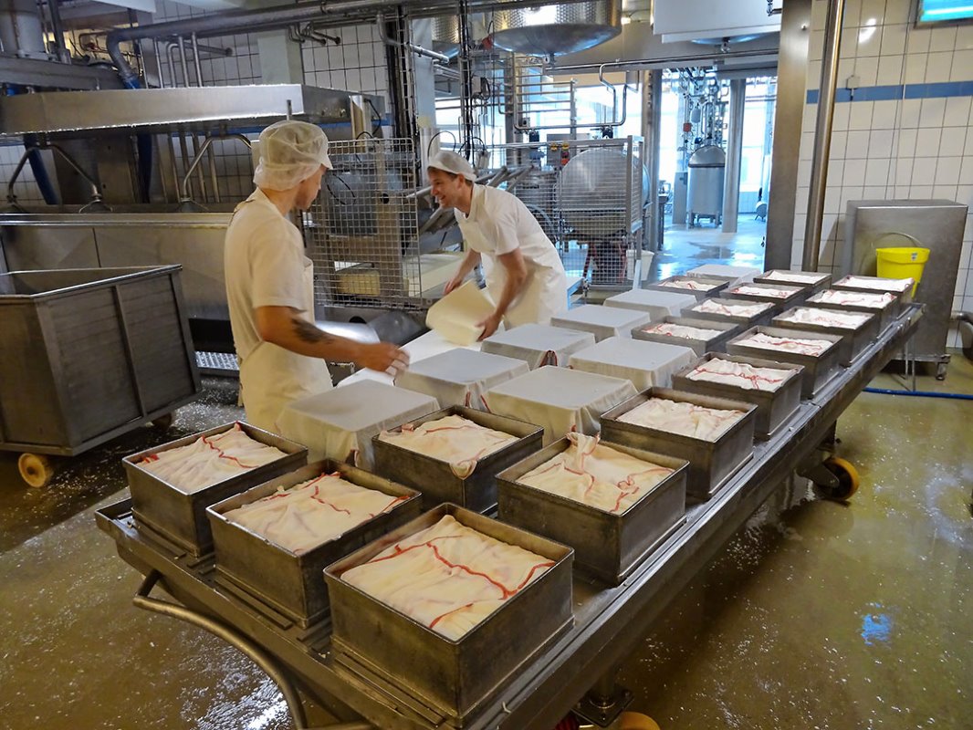 Holst merkt dat biologisch voor kaasproductie een veel kleiner rol speelt dan bij andere zuivel. Voor de Deense consument is bio-kaas geen noodzaak. Zulke kazen maakt Holst dan ook niet. De gok is te groot. Een bio-keten zou veel duurder of misschien zelfs te duur worden.